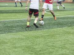 萧亚轩公开,被狗咬伤后,正面照,1xbet官网,1xbet体育官方网站,1xbet官网入口,1xbet体育官网