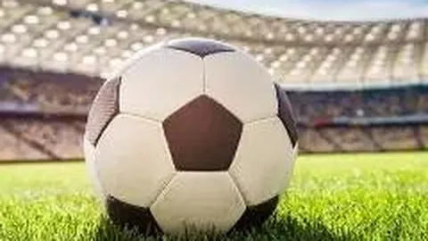 1xbet官网 资讯 114713 16s