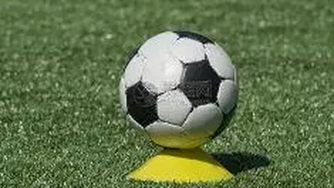 1xbet官网 产品 114719 047