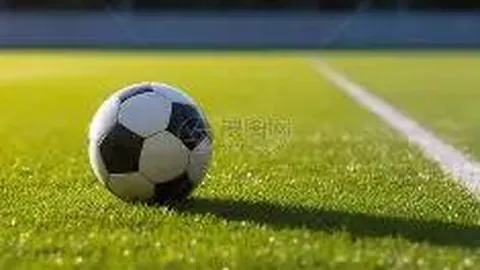 “十四五”期间我市财政收支均衡发展，质量效益同步提升——济南政府网聚焦